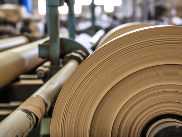 Grooved Pipe Fittings for Pulp & Paper Mill